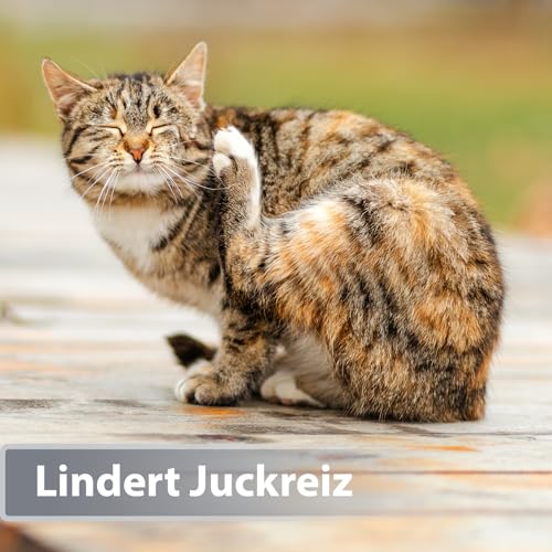 Felisept Mikro Silberspray für Katzen 75ml - Silberspray Katze gegen Juckreiz, Wundspray Katzen, Schmerzfrei & ohne Aluminium & kolloidales Silber, Einfache Anwendung