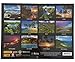 Islander Hawaii Hawaiian 2026 Twelve Month Wall Calendar (All Island Pictorial)