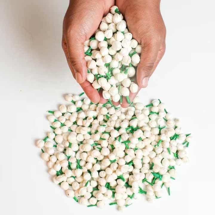 Artificial Mogra Buds - Real Look White Flowers for Gajra Making, Indian Wedding Décor, Jewelry & Craft Material (Pack of 100)-image-30