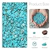 SUNYIK Howlite Turquoise Tumbled Chips Stone Crushed Pieces Irregular Shaped Stones 1pound(about 460 gram) #1