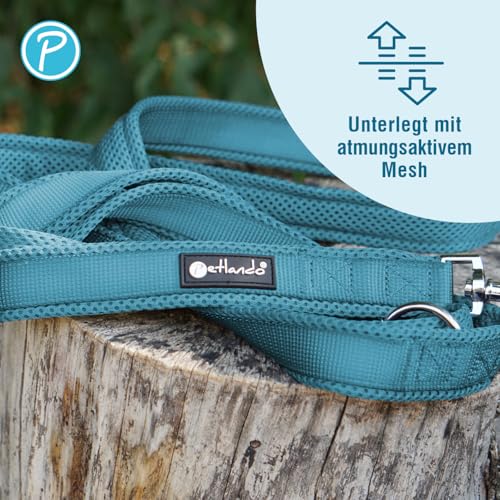 Petlando Hundeleine 3m Mesh, leicht & weich geplostert, 3-Fach verstellbare Leine, Führleine Petrol 1,5 cm schmal für kleine Hunde, schnelltrocknend & pflegeleicht, Umhängeleine Hund klein