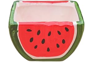 Cute Watermelon Planter Flower Succulent Pot