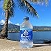 Hawaii Volcanic Water, Lava Filtered Naturally Alkaline, 100% Recycled Bottle (355ml (Pack of 24))
