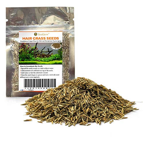 SunGrow Hair Grass Seeds, 10 Grams, Seeds Can Grow Up to 2 Inches, Mid or Foreground Tank Decor, Carpet Aquarium Plant, Short Germination Time, Creeper Plant Covers Tank Surface Quickly, 1 Pack