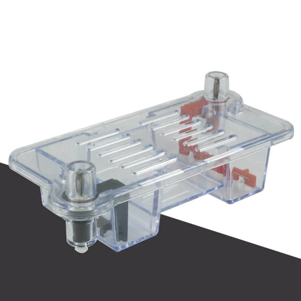 XIAOJUN Tanque de Electroforesis Horizontal para Educación y Biología