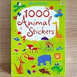 Gepäckaufkleber sind das perfekte Geschenk für Kinder, Jugendliche, Familien, Freunde und andere Heimwerker