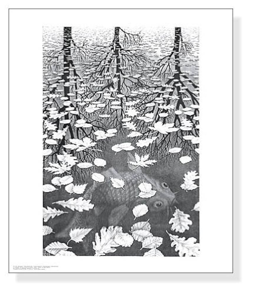 ヴィンテージ M.C. Escher ”もう一つの世界” ポスター　エッシャー ヴィンテージ M.C. Escher ”もう一つの世界” 額入りポスター