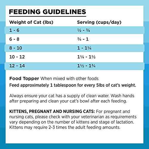 Bixbi Rawbble Freeze Dried Cat Food, Chicken & Salmon Recipe, 10 Oz - 95% Meat And Organs, No Fillers - Pantry-Friendly Raw Cat Food For Meal, Treat Or Food Topper - Usa Made In Small Batches #TOP5
