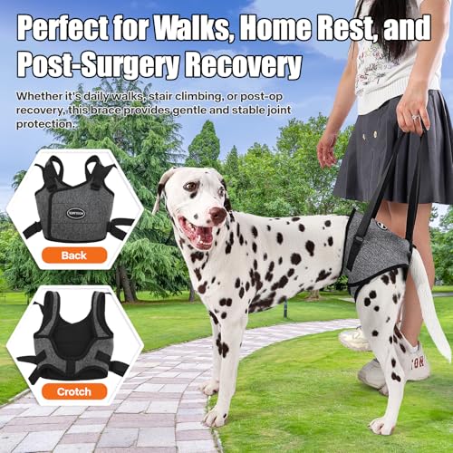 Image of Dog Sling for Medium Large Dog Rear Leg, Lift Harness Provide Support with Muscle Atrophy and Joint Problems for Elderly Injured Arthritic Pet, Dog Weak Rear Legs Provides Rehabilitation Aid