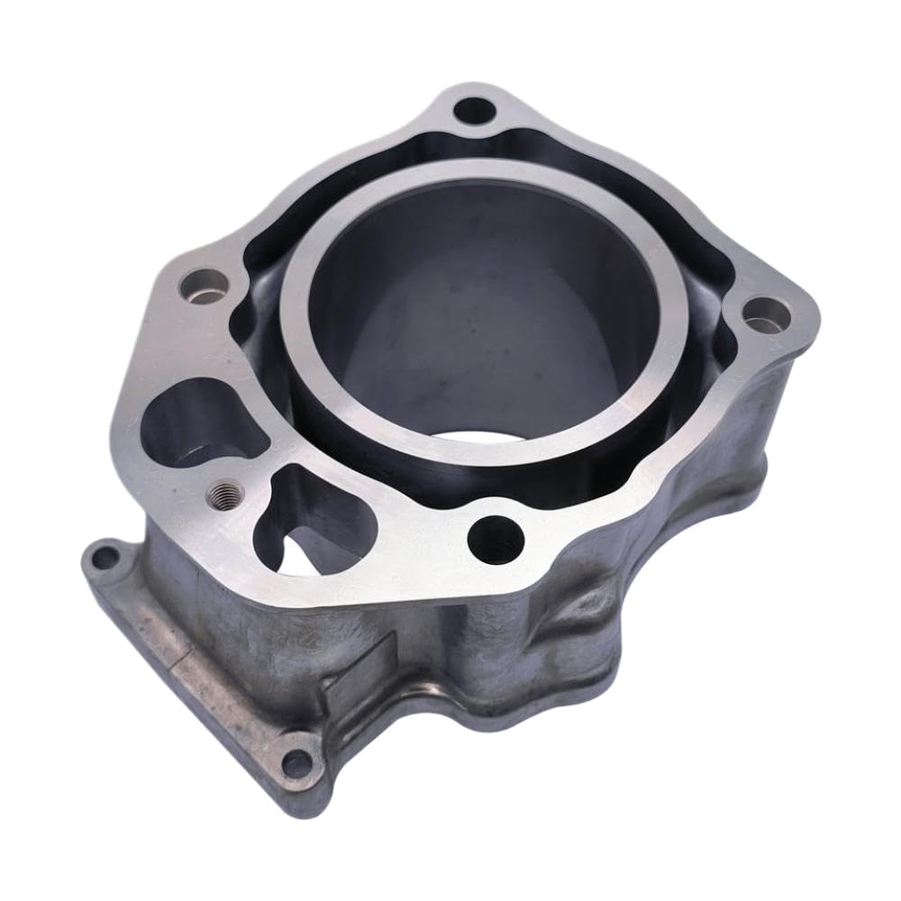 1SET Kit di guarnizione su anelli del pistone cilindri 12100-7-A00 12100-5-600 compatibile con 2007-2018 TRX420 FE FM TM TM ATV Parti del motore per manutenzione del veicolo
