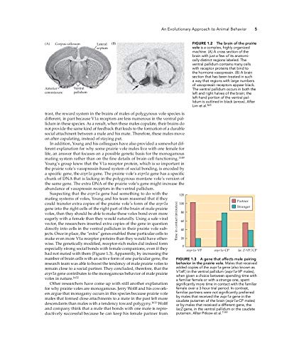Comportamento Animal: Uma Abordagem Evolutiva