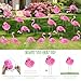 Subacy 20 PCS Pink Flamingo Yard Signs with 40 Stakes Summer Beach Flamingo Lawn Sign 10 Styles Tropical Yard Lawn Patio Decorations Party Supplies(Normal)