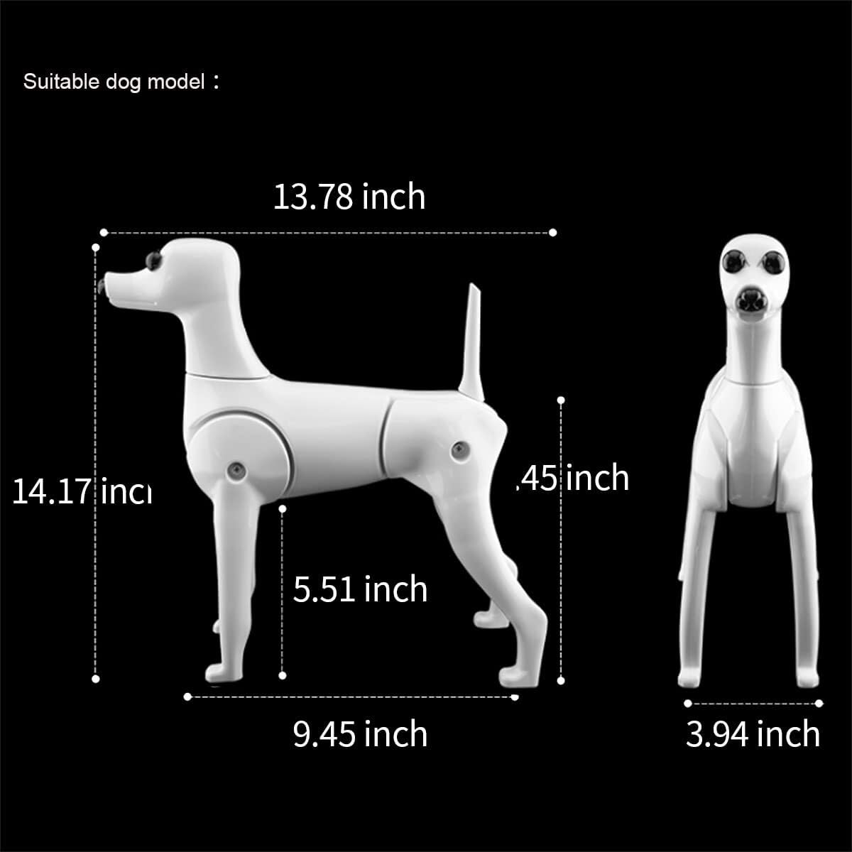 Amazon.co.jp: トイプードル 犬用グルーミング練習モデルキット