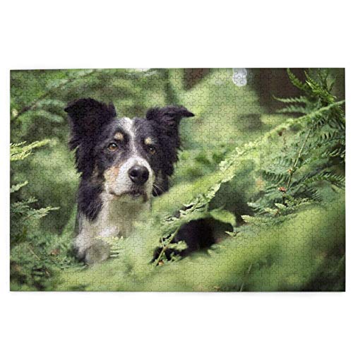 Puzzles 1000 pièces Border Collie Chiens forêt Bokeh Animaux Noir Blanc en Bois Puzzle Jouet Famille Jeu décoration Murale pour Adultes Adolescents