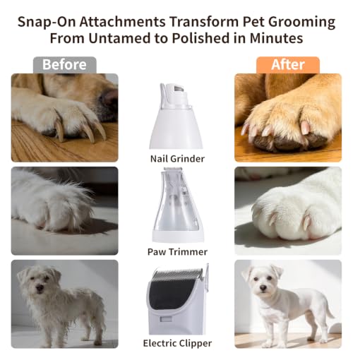Dog Grooming Vacuum, 12000Pa Powerful with 1.5L Cup 7 in 1 Pet Electric Grooming Vacuum for with Hair Clipper & Shedding Brush, Low Noise, 3 Suction Levels for Thick Hair Cats & Dogs - Image 4