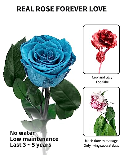 Image of Loyal Blue Flowers for Delivery Prime, Preserved Blue Roses Flower Gifts for Women, Real Roses Single Rose Gifts for Her, Mom Birthday Gifts from Daughter, Valentines Flowers