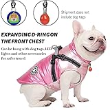 Hundemantel Winter, RosyFate Hund Warm Kleidung, Welpen Jacke, Weste Hund, Hunde Mantel Regendicht Winddicht, Hundemantel für Kleine und Mittlere Hunde (Rosa L)