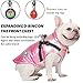 Hundemantel Winter, RosyFate Hund Warm Kleidung, Welpen Jacke, Weste Hund, Hunde Mantel Regendicht Winddicht, Hundemantel für Kleine und Mittlere Hunde (Rosa L)