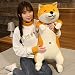 60-120 cm Mignon Shiba Inu Chien et Chat Jouets en Peluche en Peluche Longs Animaux Sommeil Petit ami Oreiller poupée Bureau Coussin Enfants Filles Cadeau 11cm-30cm Noir