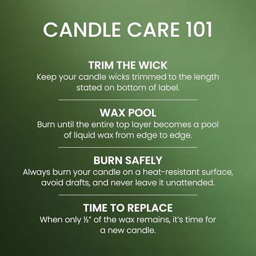 Image of Yankee Candle Balsam & Cedar, Scented Candle, 22oz Large Jar with up to 150 Hour Burn Time, Giftable (Pack of 4)