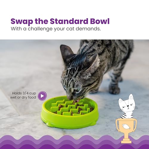 Catstages Kitty Slow Feeder Cat Bowl, Green - Image 4