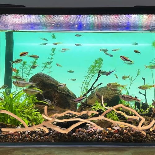 Image of Hamiledyi Natural Driftwood for Aquarium Decor - Red Moor Wood 10 inch-15 inch Long Assorted Shapes (600g) Safe Branches for Fish Tank & Reptile Habitat - Natural Aquarium Wood Decorations (Coarse Branches)