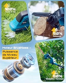 SEESII 6-en-1 Mini Tronçonneuse & Taille-haie, avec 2 * 4000mAh Batteries, Tronconneuse Electrique à Perche Télescopique, Portée Maximale Jusqu'à 4,57m, à 30 ML Bouteille d'huile