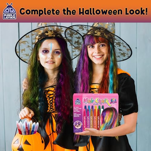 Purple Ladybug A-PL-0804 12 Colors Hair Chalk thumb #1