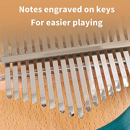Piano à pouce Kalimba 17 touches, portable, cadeau pour enfants et adultes, instrument de musique, piano à pouce… - Les Beatles, Paul McCartney, John Lennon, RIngo Starr, George Harrison Piano à pouce Kalimba 17 touches, portable, cadeau pour enfants et adultes, instrument de musique, piano à pouce… – Image 6