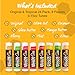 Nature's Bees Lip Balm, Bulk Lip Care Pack for Dry, Cracked Lips, Made in the USA with Natural Ingredients, 0.15 oz Each, 8 Flavors, 24 Pack