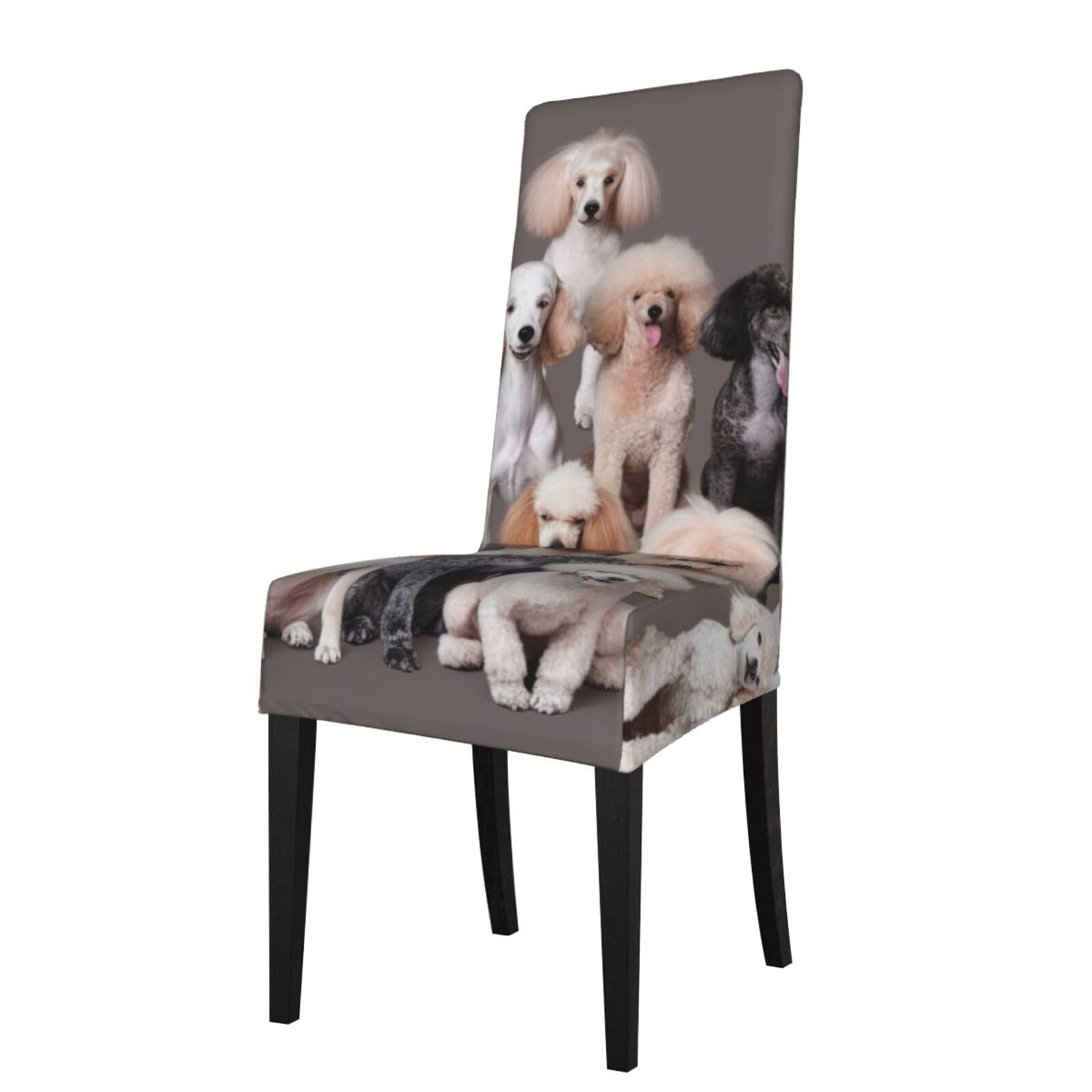 WPKJU Oodles of Poodles Print Dining Chair Covers Removable Chair Seat Covers Decorative for Kitchen & Bar Stools
