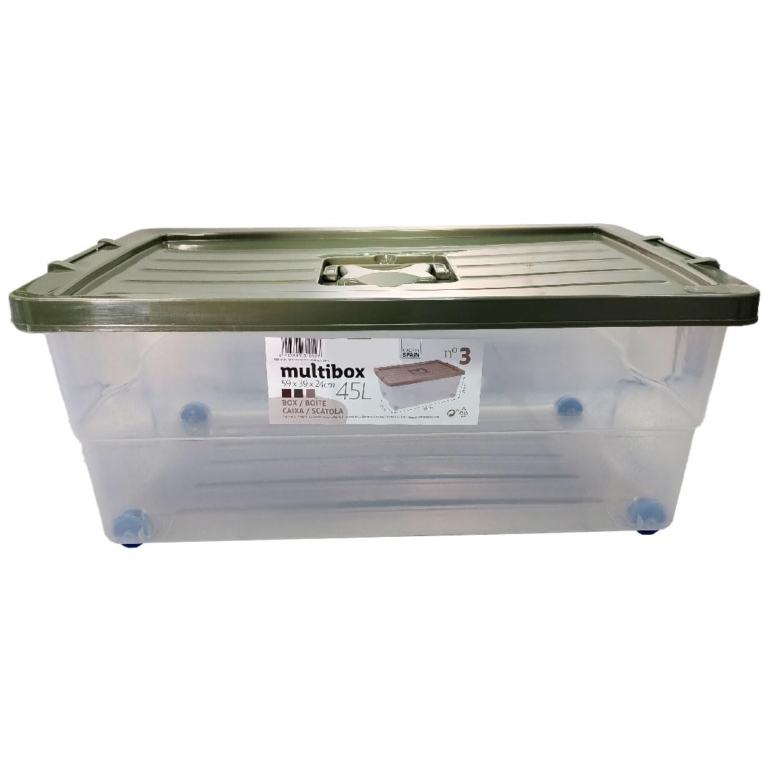 Acan Tradineur - Confezione da 2 Scatole di Stoccaggio con Ruote e Coperchio Colorati - Plastica - Contenitore, per Giocattoli, Libri, Abbigliamento, Coperte - 45 litri - 59 x 39 x 23 cm - Coperchio