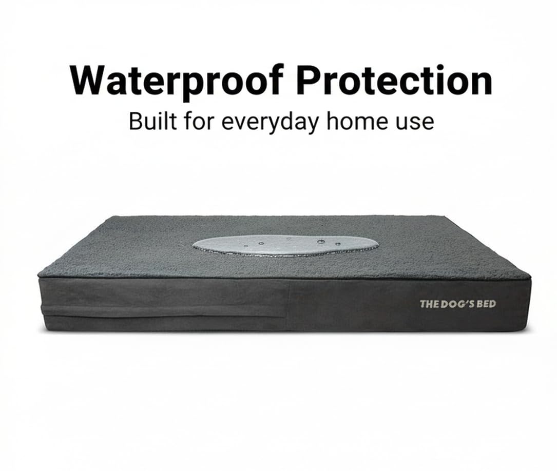 The Dog’s Bed Orthopaedic Memory Foam Dog Bed for XL Dogs, Waterproof Washable Cover, Anti-Slip Base, Calming Surface – CertiPUR-Certified Foam, Grey Plush, 15cm Thick — view 3