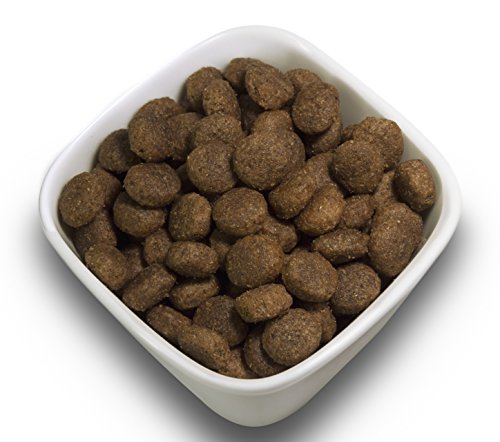 SALiNGO High Sensitive Hundefutter trocken, Trockenfutter Lamm und Reis, zuckerfrei, Single Protein, für Sensible Hunde mit hohem Fleischanteil, 15kg
