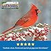 CountryMax ​Backyard Seeds Premium Safflower Bird Seed 20 lb – Ideal for Cardinals, Doves, Grosbeaks