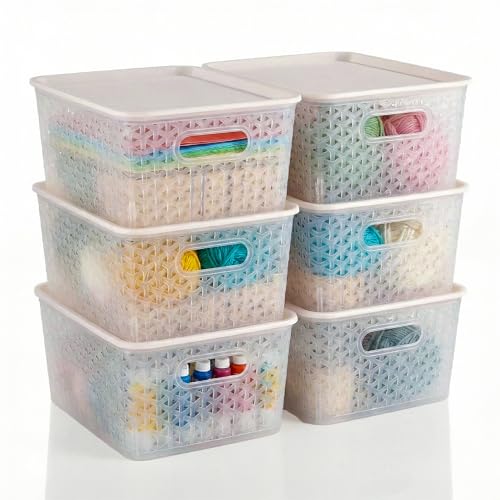 Kuber Industries 6 Pcs Plastic Medium Solitaire Storage Basket with Lid & Handle | Multipurpose Storage Rectangular Box for Cloths Toys & Books | H3 - Transparent
