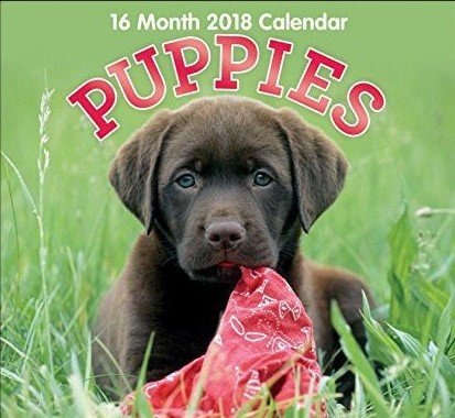 16 Month Wall Calendar 2018 - Puppies - Each Month Displays Full-Color Photograph. September 2017 - December 2018 Planning Calendar