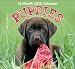 Puppies 16-Month 2018 Calendar