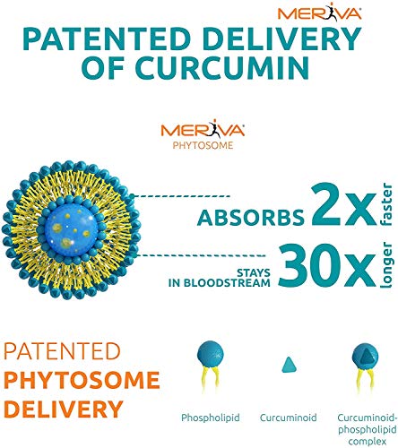 Source Naturals Turmeric With Meriva 500Mg For Healthy Inflammatory Response - 120 Tablets #TOP4