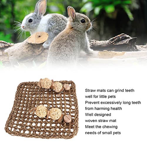 Gsycle Woven Pet Seagrass Mat - Image 2