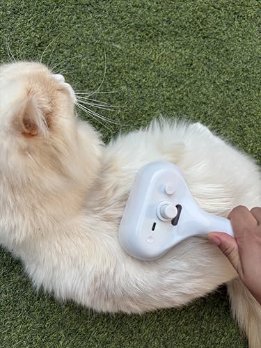 Image of Cat Steam Brush for Shedding, Self Cleaning Cat Brush with Water Spray, 3-in-1 Design for Massage, Hair Removal, and Cleaning, Steamy Brushes for Indoor Cats and Dogs (White)