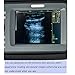 Ovovo Portable Veterinary Ultrasound Scanner Machine for Pregnancy with 7.5 MHz Rectal Probe for Vet Cattle, Horse, Camel, Equine, Cow, Goat and Sheep Farm Animals