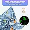 Dinosaur Glow in The Dark Blanket for Kids, Toddler Blanket for Boys, Dinosaur Gifts for Boys/Kids, Soft Fleece Blanket Throw, Birthday Gifts 40"x60" #2