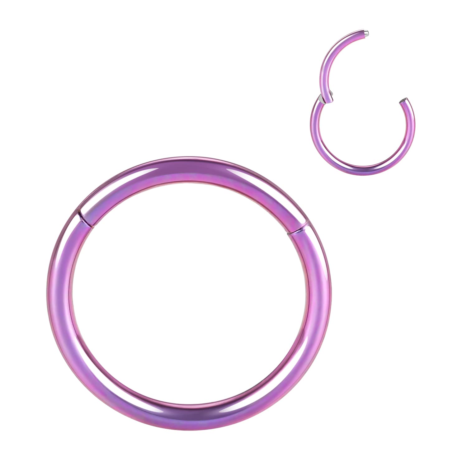 FUNLMO 316L Surgical Steel Hinged Segment Nose Ring Hoop for Nose Septum Cartilage Helix Tragus Conch Rook Daith Lobe Lip Piercings 1 Pc