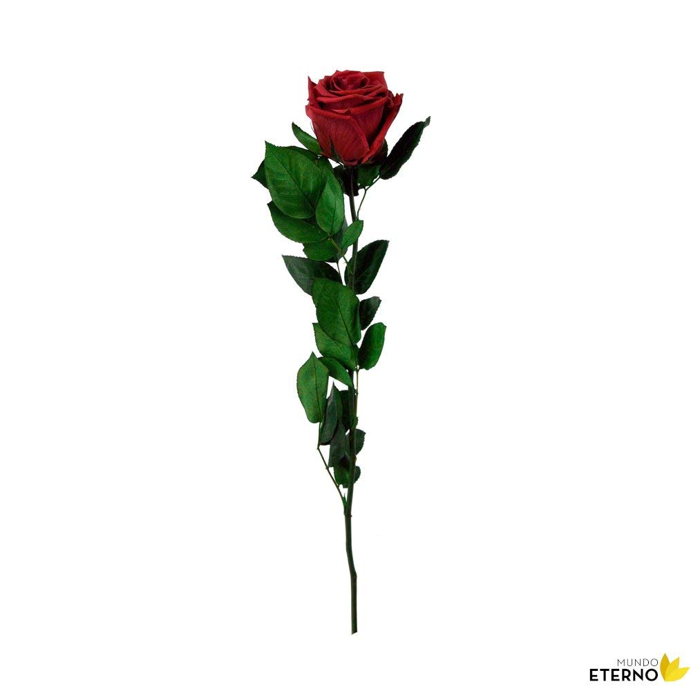 Mundo Eterno | Ramo de 6 Rosas Rojas Preservadas | Flor Eterna Natural | Regalo Romántico sin Mantenimiento | Ideal para San Valentín, Bodas o Decoración | liofilizada
