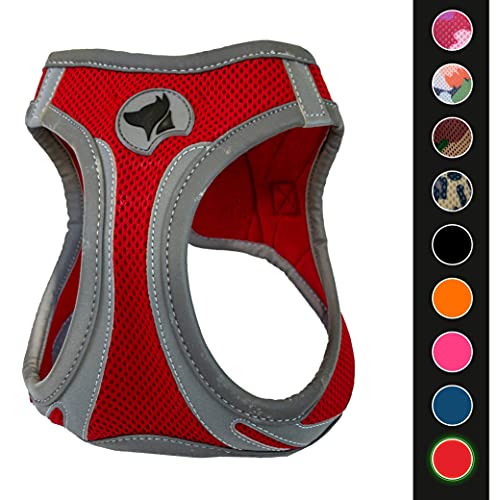 Croci C5081160 - Pettorina Riflettente Per Cani, Multicolore (Rosso), XS, 1 Pezzo