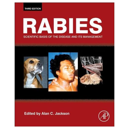 Rabies: Understanding Disease Management Essentials
