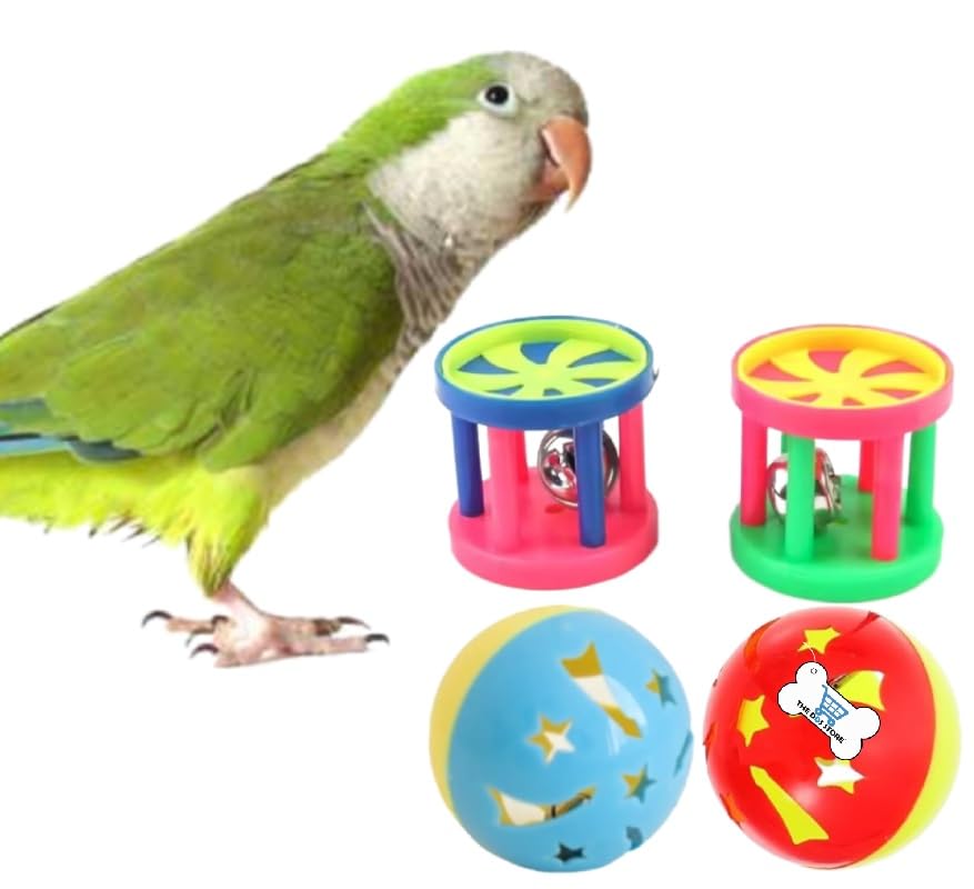 Pet Parrot Toy Plastic Colorful Birds Ball for Budgie African Grey Cockatoo Cockatiel Sun Conures Rabbit Cat 4PC Color Random-image-3