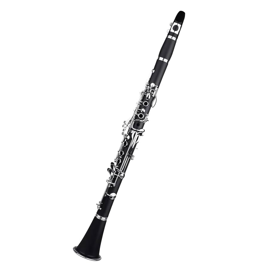木製クラリネット 17キー ケース付き Amazon | 17 キー黒檀木製クラリネット Bb トーン