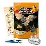 Barn Owl Pellets for Dissection, Solo Essentials Kit, Large 1-Pack by OBDK